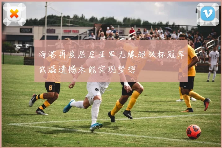 海港再度屈居亚军无缘超级杯冠军武磊遗憾未能实现梦想