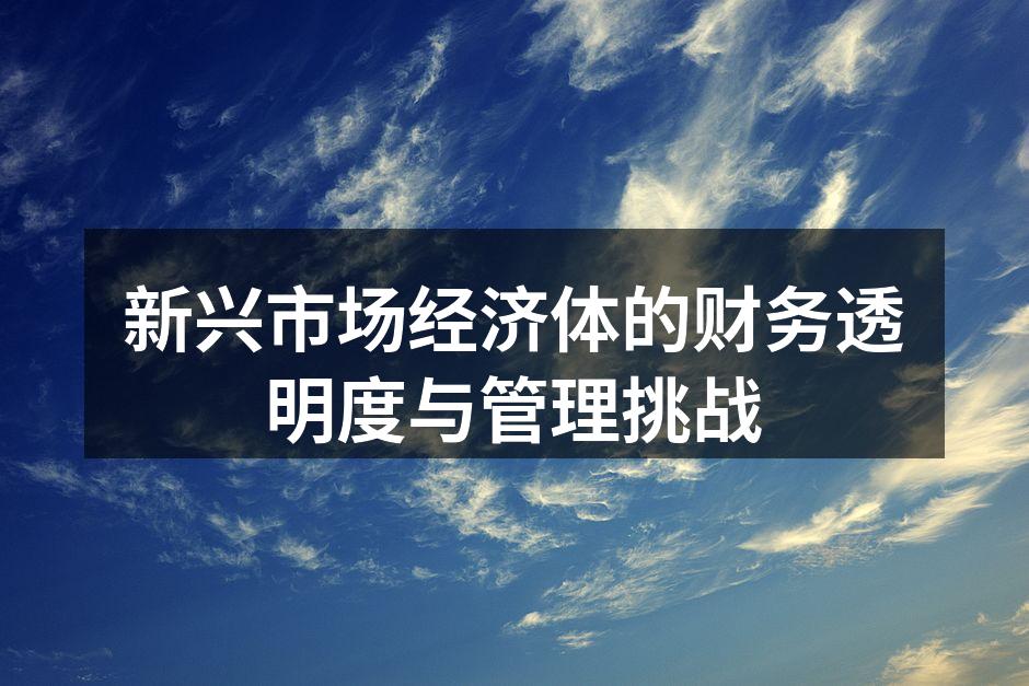 新兴市场经济体的财务透明度
