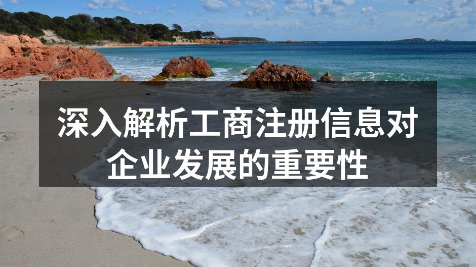 工商注册信息示例