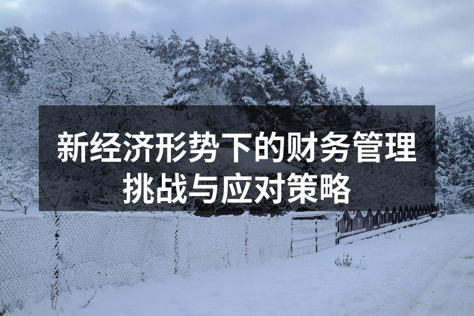 新经济形势下的财务管理挑战与应对策略