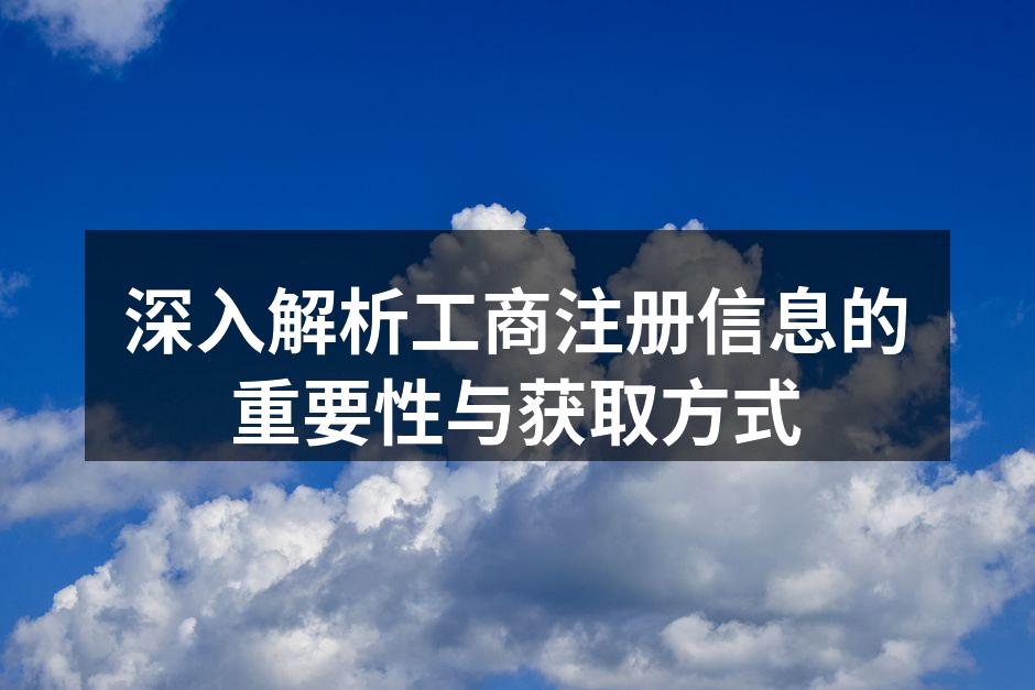 工商注册信息展示示意图