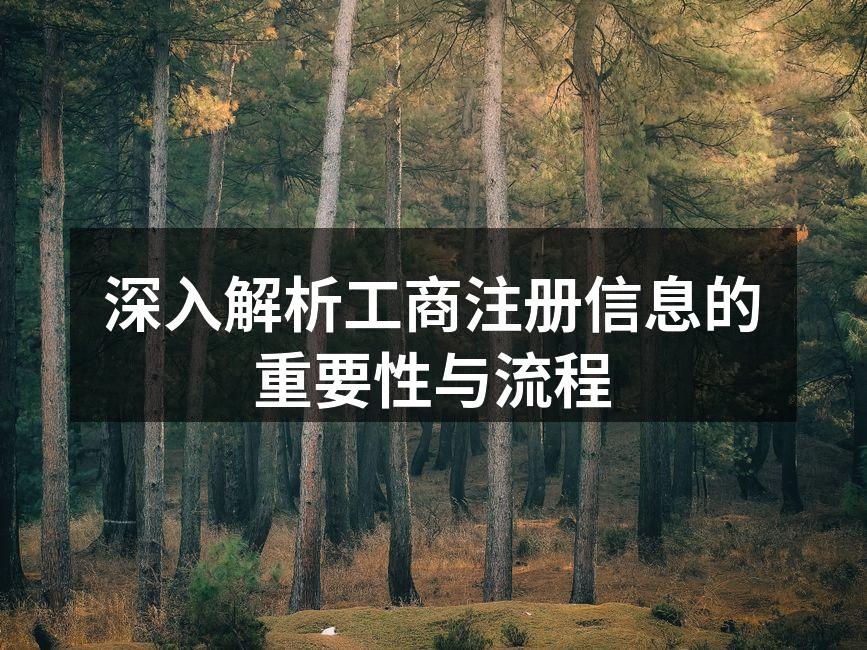 工商注册流程图解