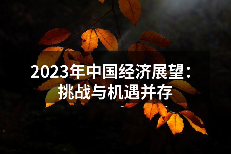 中国经济展望分析图